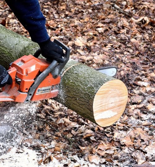 lumberjack, chainsaw, woodwork-2146509.jpg